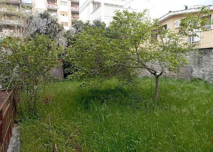 Pigneto House